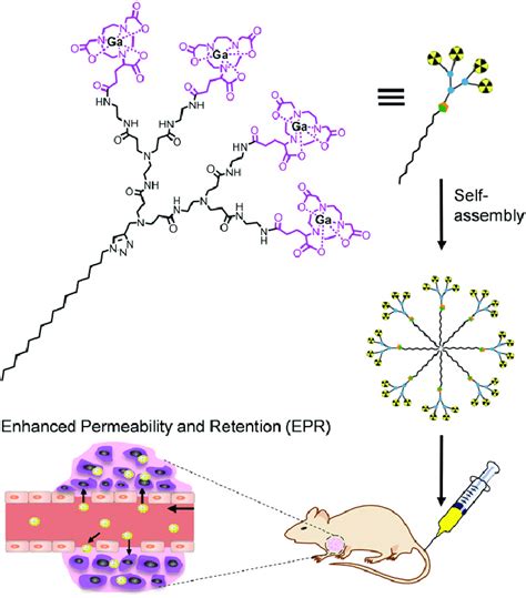 Schematic Illustration Of The Supramolecular Dendrimer Nanosystem Download Scientific Diagram