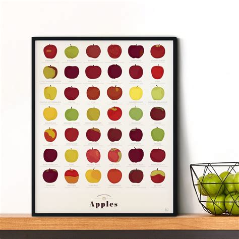 Delicious Apple Varieties Chart Print Poster for Home Gift - Etsy