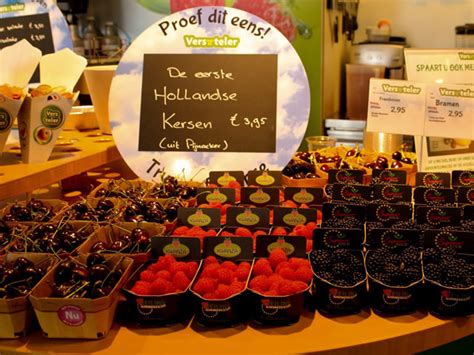 Малина Кванза: описание сорта, фото, отзывы, технология посадки и ухода