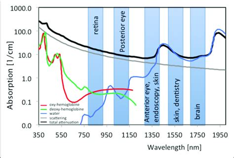 Spectral Absorption Of Water And Tissue Chromophores Together With