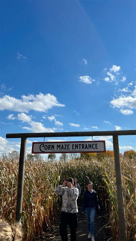 Corn maze | Fall Aesthetic | Aesthetic | Michigan | Fall | Fall Activities | Fall Photography in ...