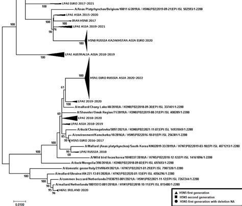 Phylogenetic Tree Constructed Using The Nj Method Based On The