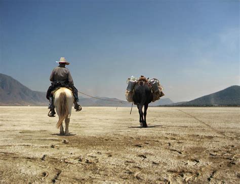 Arrieros Somos Y En El Camino Andamos Photograph By Saul Landell Mex