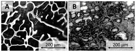 Crystals Free Full Text Pulsed And Static Magnetic Field Influence