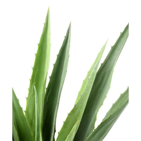 Agave Furcrae Artificiel Vert Cm Artiplantes