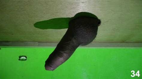 La Mesa Del Futuro El Se Corre Sin Manos Alex CUM Pornhub Gay