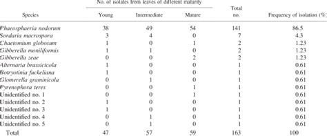 Frequency Of Occurrence Of Endophytic Fungi Isolated From Samples