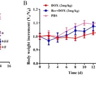 A Tumor Volumes Of MCF 7 DOX Fluc Tumor Bearing Nude Mice Treated