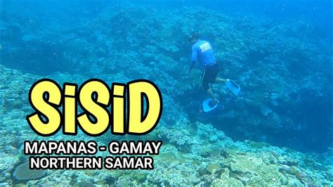 SISID Mapanas Northern Samar Gamay Northern Samar YouTube