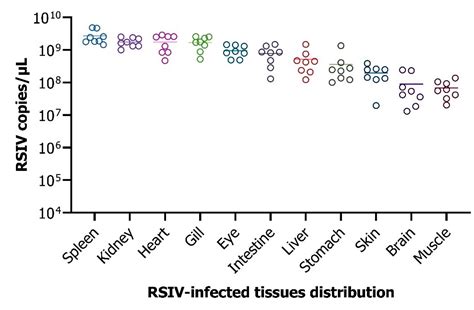 Fishes Free Full Text Development And Validation Of A Quantitative