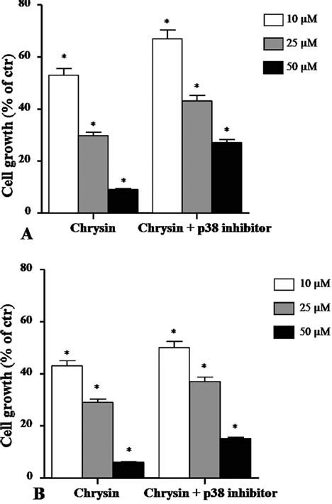 The Effect Of Chrysin And P Inhibitor Sb On A B F And