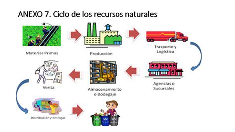 Relevancia De Los Recursos Naturales Para Las Actividades Humanas