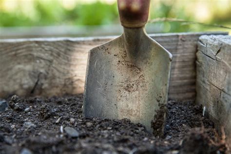 Amending Soil Why And How It Can Improve Your Garden Grow To Save