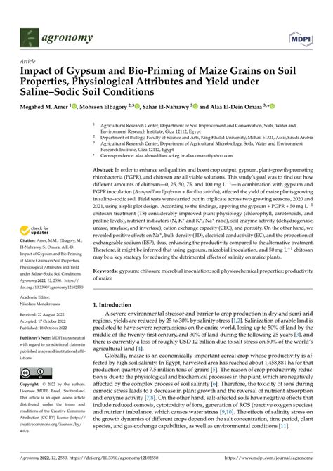 PDF Impact Of Gypsum And Bio Priming Of Maize Grains On Soil