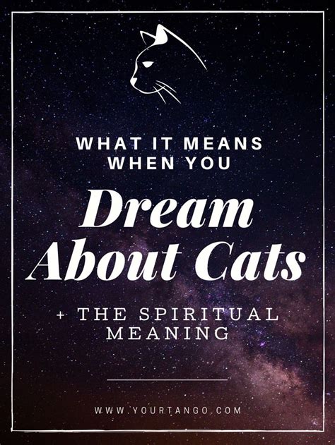 Cat Symbolism And What It Means When You Dream About Cats Or See One