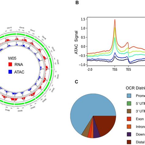 Data Summary Of The Assay For Transposase Accessible Chromatin Using