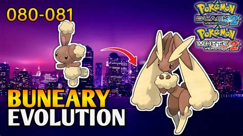 How To Evolve Buneary Into Lopunny In Pokemon Black 2 White 2 Unova