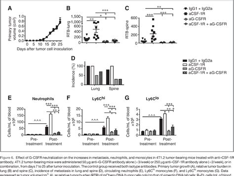 Figure 6 From The Promotion Of Breast Cancer Metastasis Caused By Inhibition Of Csf 1r Csf 1