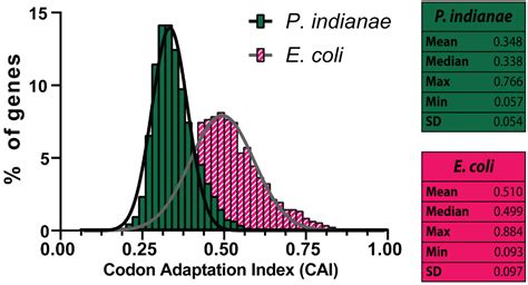 E Coli Bl21 Codon Usage Table Infoupdate Org