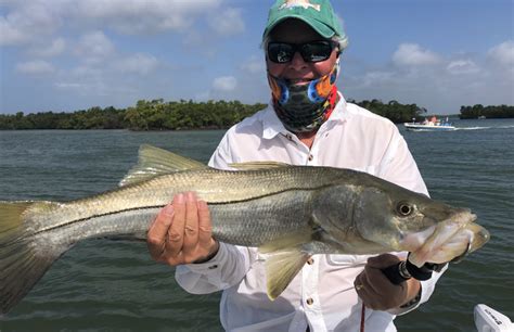 Naples Marco Island Fishing Report Naples Fishing Charters With Capt