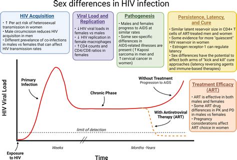 Hiv Transmission Rates