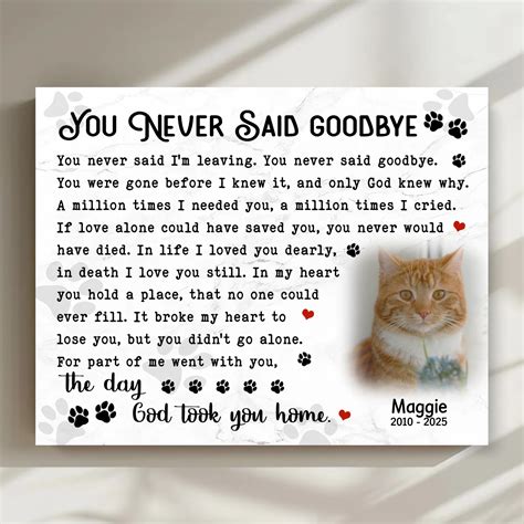 You Never Said Goodbye – Cat Loss Poem