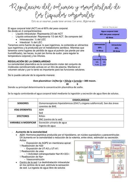 Regulación del VEC y osmolaridad Glomerulito uDocz