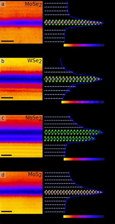 Cross Sectional Haadf Stem Images Of Different Tmdcs Encapsulated In