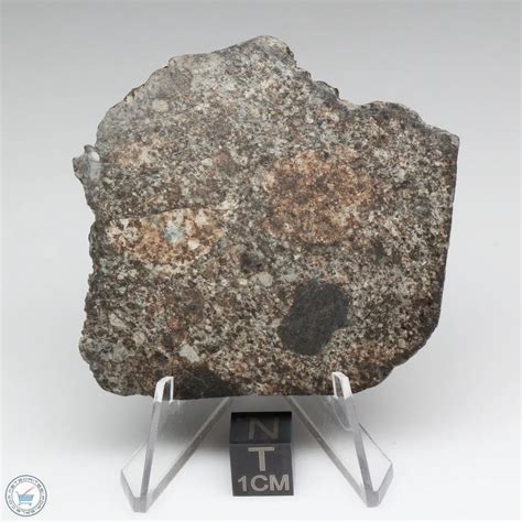 Nwa 869 Meteorite 869 300 The Meteorite Exchange Inc