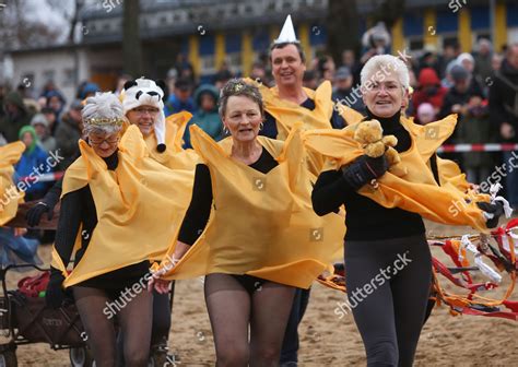 Members Berliner Seehunde Berlin Seals Swimming Editorial Stock Photo