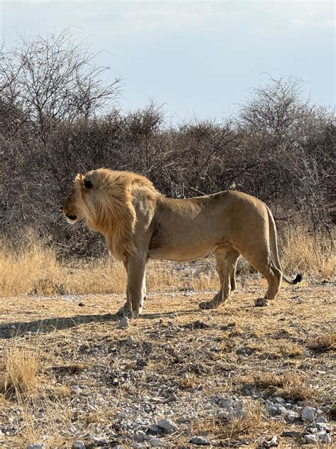Safari Guide Namibia | Swakopmund