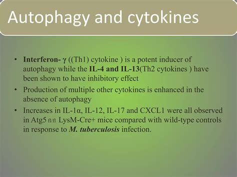 Autophagy Ppt