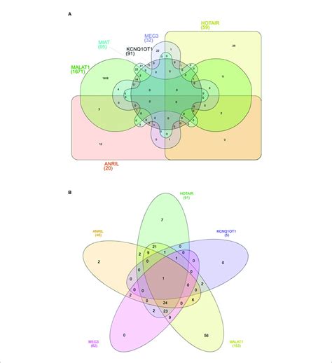 | Venn diagram showing the shared target genes (A) and pathways (B) of ... 