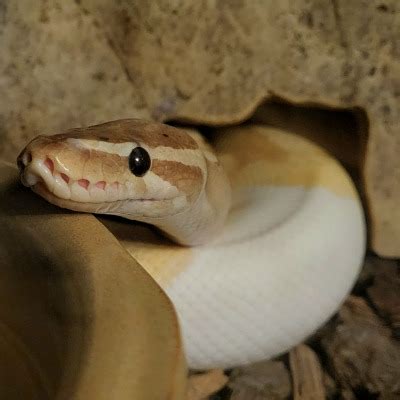 Cute Ass Tumblr Tumbex