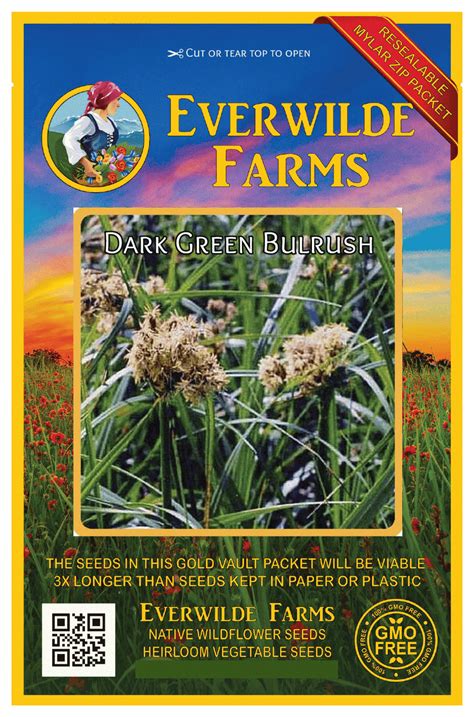 Everwilde Farms 2000 Dark Green Bulrush Native Grass Seeds Gold