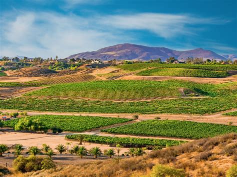 Sip Away and Discover America’s Lesser-Known Wine Regions — Daily Passport