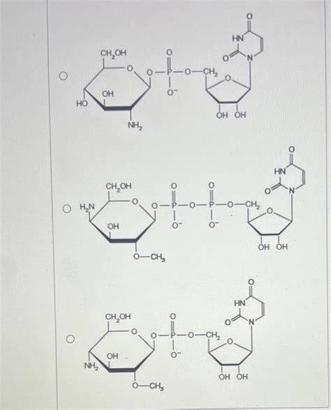 Solved Choose The Structure Of Udp Galactosamine