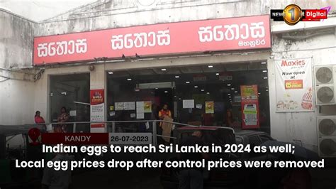 Indian Eggs To Reach Sri Lanka In 2024 Local Egg Prices Drop After