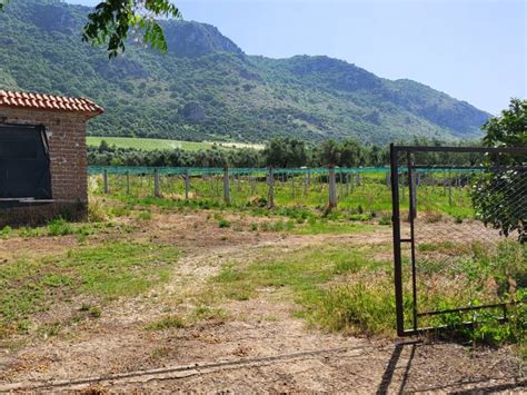 Terreno Agricolo Via Pezze Di Ninfa Cisterna Di Latina Rif 111951891