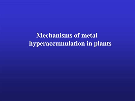 Ppt Biology Metal Accumulating Plants Mechanisms Of Metal