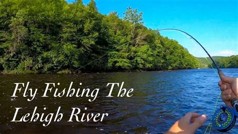 Spring Fly Fishing For Lehigh River Brown Trout Youtube