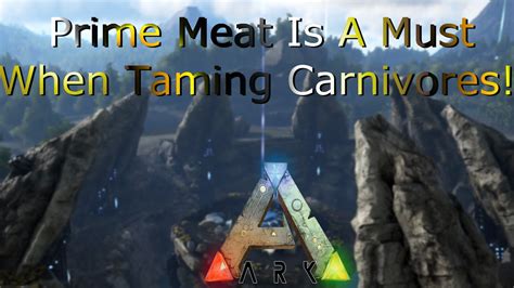 Ark Survival Evolved Prime Meat Is Essential For Taming Carnivores Use It Youtube