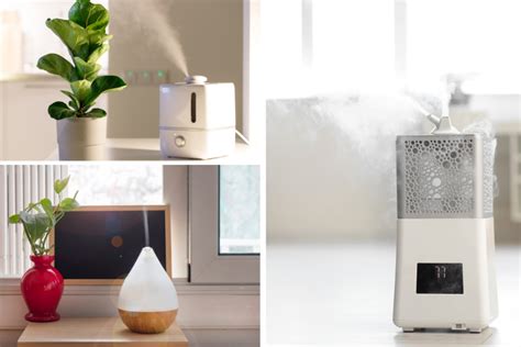 The Ultimate Guide To Choosing The Best Air Humidifier In Singapore Hey Singapore