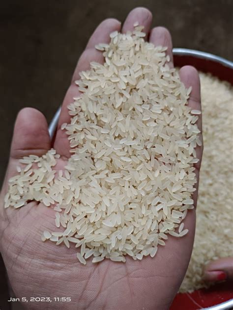 Ir Parboiled Rice Broken Packaging Size Kg At Rs Kg In Patna