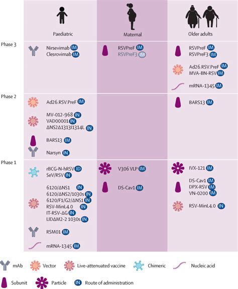 Respiratory Syncytial Virus Prevention Within Reach The Vaccine And