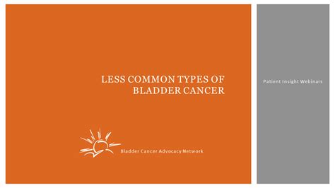 Less Common Types Of Bladder Cancer Understanding Variant Histologies