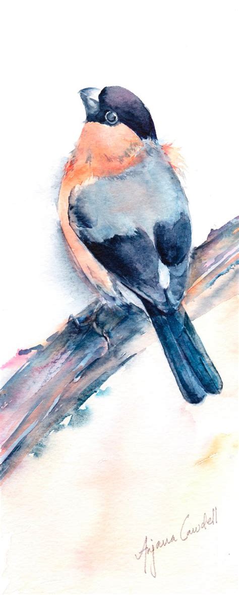 Bullfinch Painting Original Bird Painting Watercolour Watercolour By