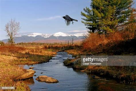 23 Crow Creek Reservation Stock Photos, High-Res Pictures, and Images ...