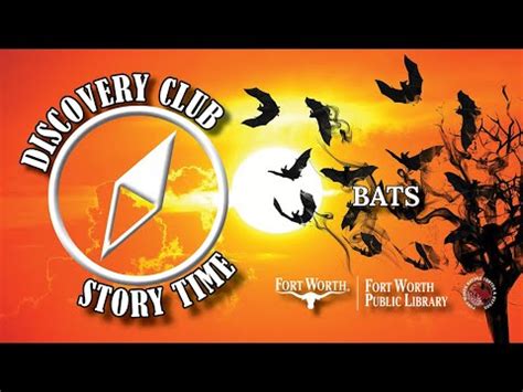 Bats Fort Worth Public Library YouTube