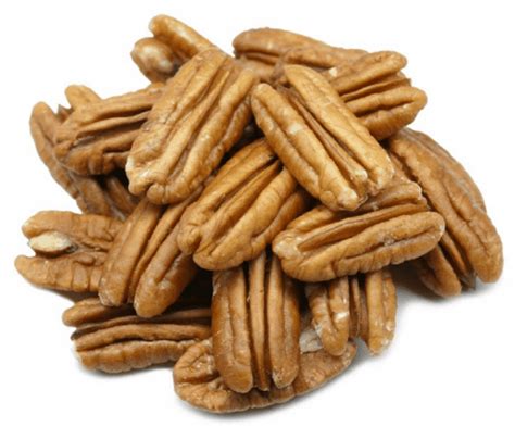 18 Great Types Of Pecan Trees Progardentips